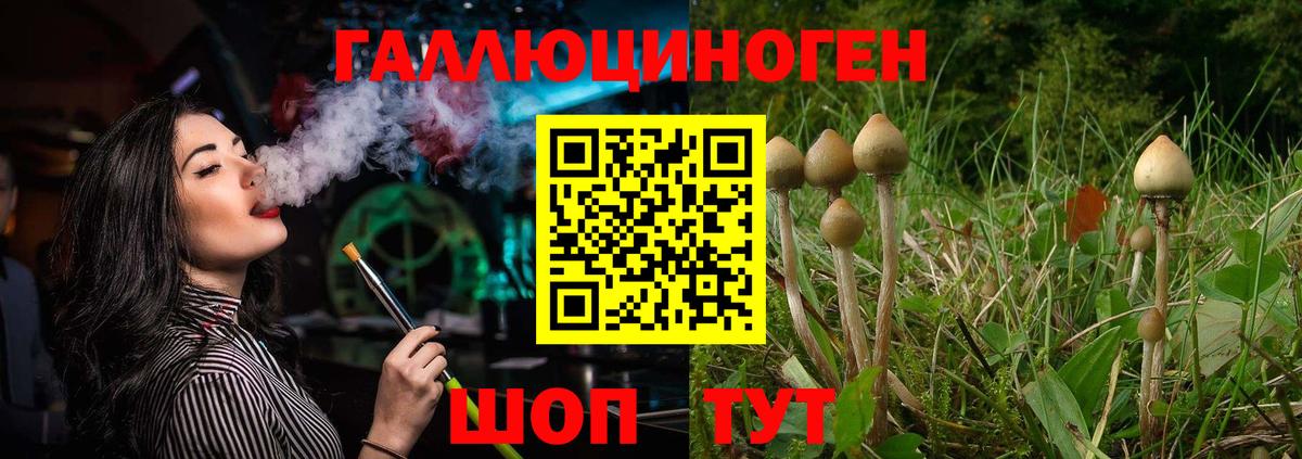 Галлюциногенные грибы Magic Shrooms Южно-Сахалинск
