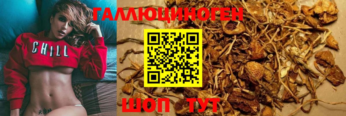 Псилоцибиновые грибы MAGIC MUSHROOMS  Псилоцибиновые грибы MAGIC MUSHROOMS  Вход с VPN  Южно-Сахалинск 